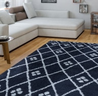 PWEIG102